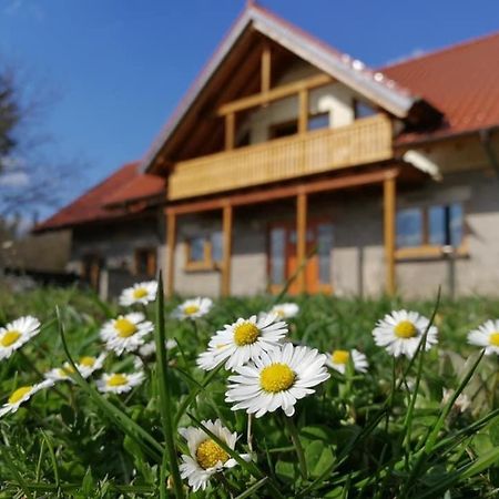 Wandertraum Johann - Fewo Eifel Kruft Eksteriør bilde