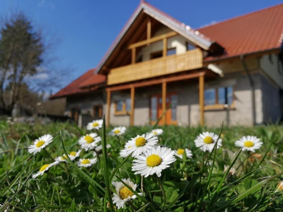 Wandertraum Johann - Fewo Eifel Kruft Eksteriør bilde